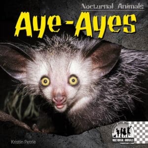 Aye-ayes (Nocturnal Animals)