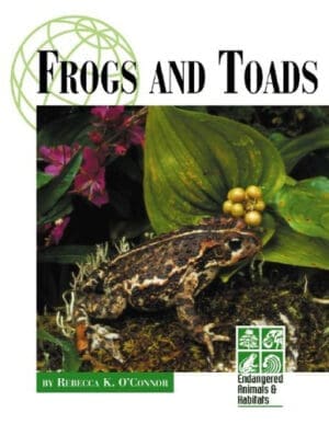 Endangered Animals and Habitats - Frogs and Toads
