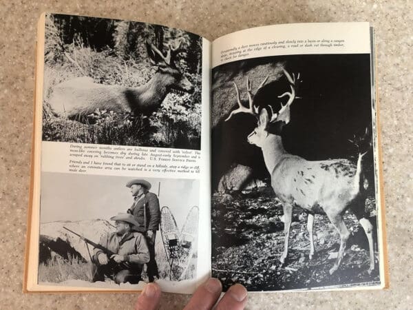 Shots at mule deer - Image 8