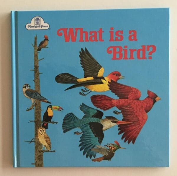 What Is a Bird?