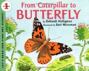 By Deborah Heiligman - From Caterpillar to Butterfly (Let's-Read-and-Find-Out Science, S (English Language) (1996-05-31) [Paperback]