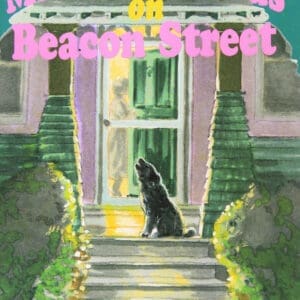 Making Friends on Beacon Street: Set C Stage Eight (Literacy Links Picture Books)