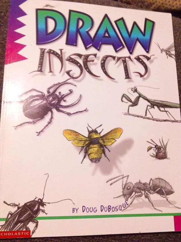 Draw Insects