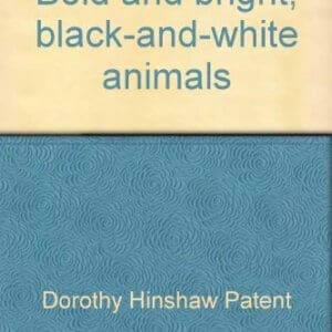 Bold and bright, black-and-white animals