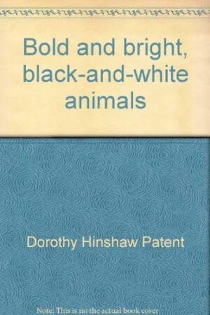 Bold and bright, black-and-white animals
