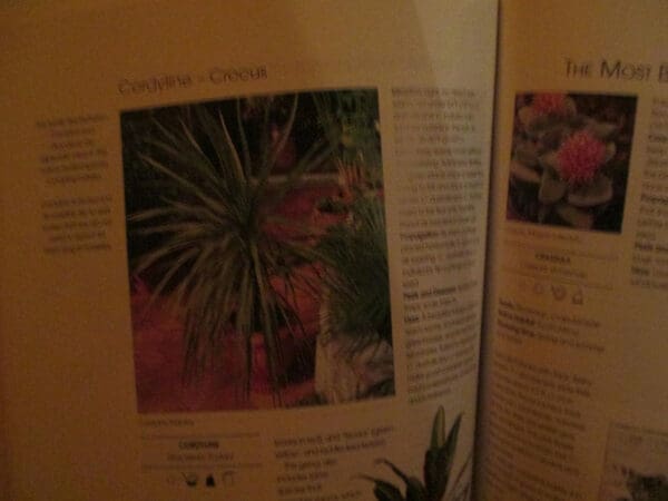 The House Plant Encyclopedia - Image 3