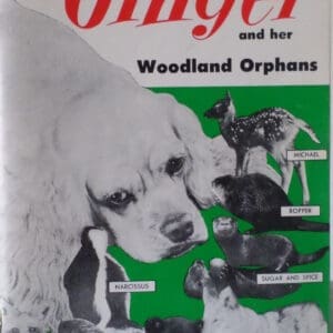 northernaire's ginger and her woodland orphans