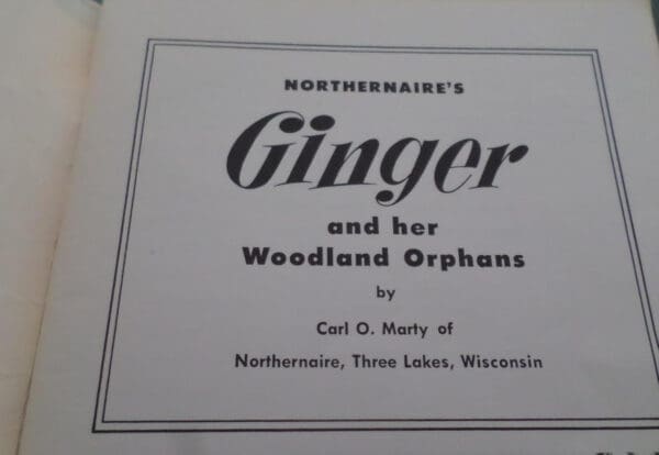 northernaire's ginger and her woodland orphans - Image 4