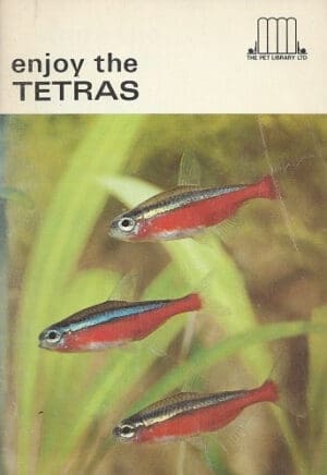 Enjoy the Tetras