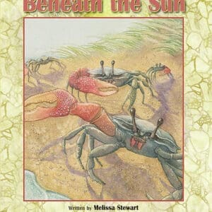 Beneath the Sun