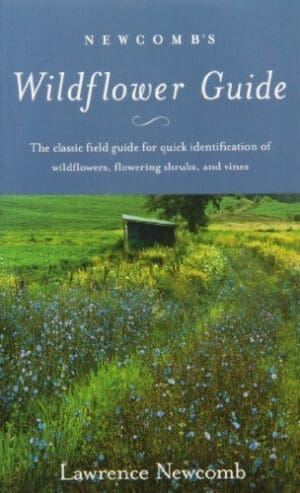 Newcomb's Wildflower Guide [Paperback] [1989] (Author) Lawrence Newcomb, Gordon Morrison