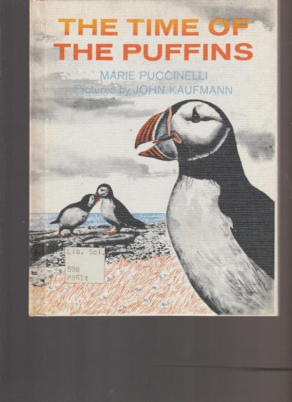 The time of the puffins