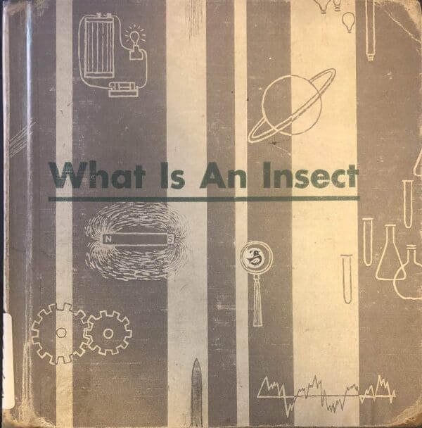 What is an insect (The What is it series)