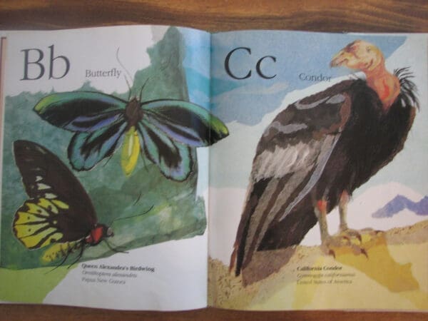 V for Vanishing: An Alphabet of Endangered Animals - Image 3