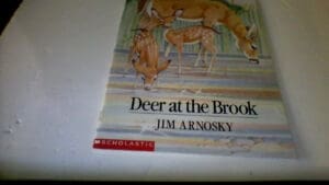 Deer At the Brook