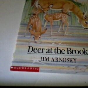 Deer At the Brook