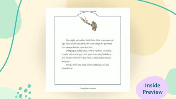 Stellaluna (Read aloud programme) - Image 4