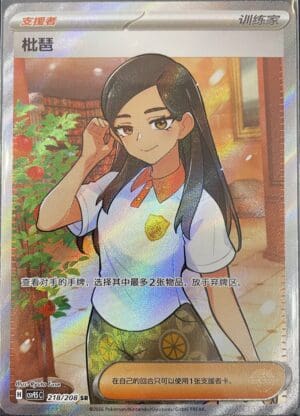 Eri 218/208 - CSV9.5C (Chinese)